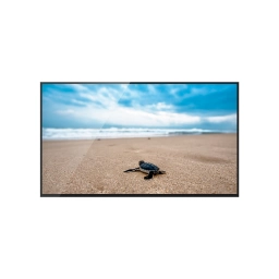 Pantalla Profesional 32" Goodview M32FAQ