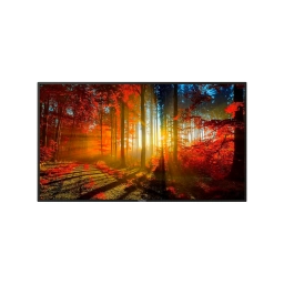 Pantalla Profesional 65" Goodview GM65M2