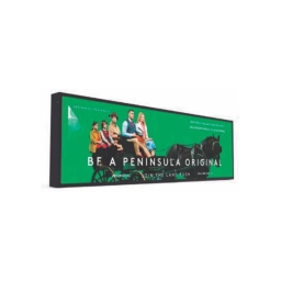 Pantalla Stretch 37" Goodview