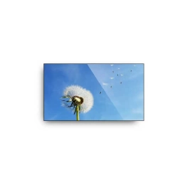 Pantalla Profesional 43" Goodview M43FUH