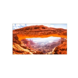 Pantalla Video Wall 49" Goodview PD49YS14