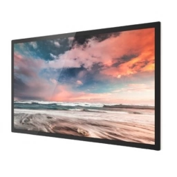 Pantalla Profesional 48.5" Goodview TC49H1