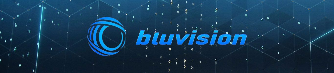 Bluvision